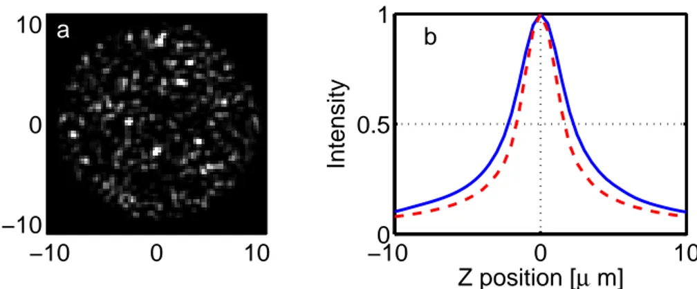 Figure 5. TPEF intensity pattern (a) and calculated depth response (b) for an illumination pattern with random phase.