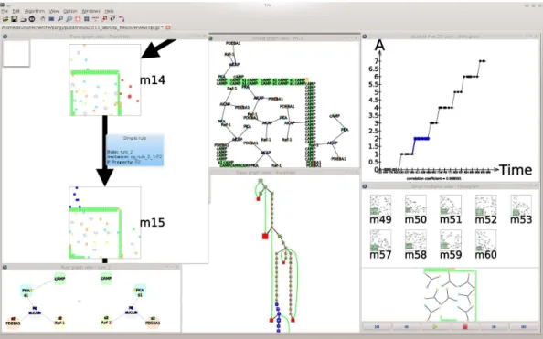 Figure 1: Overview of the PORGY graph rewriting framework allowing end-users (here biologists) to explore, study and simulate a model for biochemical calculus