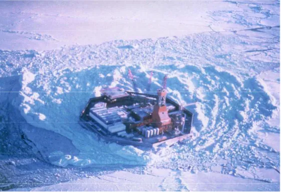 Figure 7 Esso Caisson Retained Island (CRI) with a grounded rubble field.