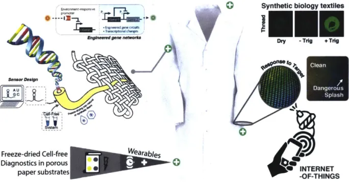 Figure 2: Base  concept for wearable synthetic biology implementation.  The  schematic shows a model  engineered genetic network with  the optical output being embedded and