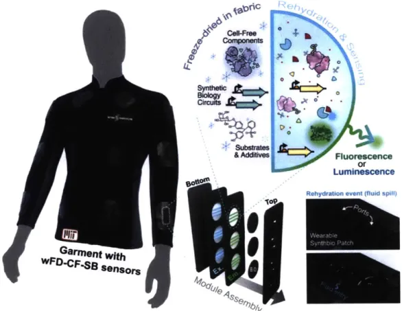 Figure 20:  General assembly and activation of wFD-CF-SB  module for