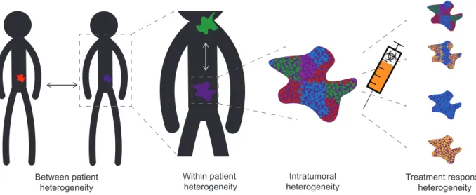 Fig. 5 Schematic of a new dimension of tumor heterogeneity. Scientists and physicians  have previously investigated heterogeneity between tumors in different patients,  heterogeneity between different tumors in the same patient, and heterogeneity  within t