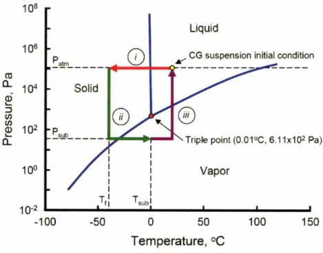 Figure 2.1. Phase diagram of freeze drying process to produce CO scaffolds.