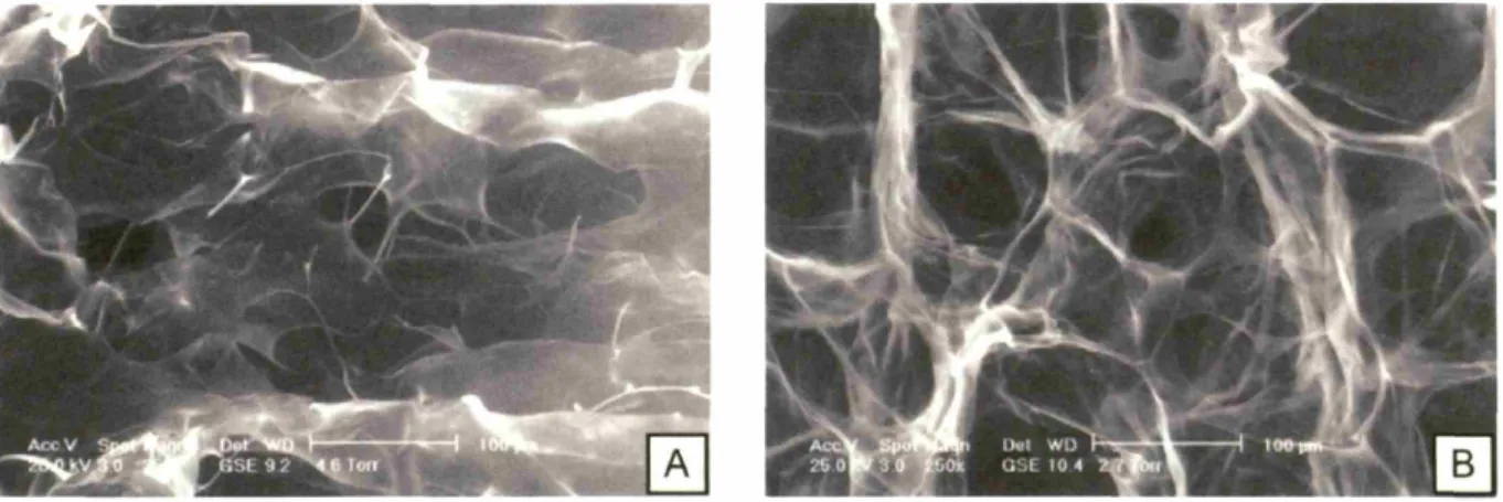 Figure 2.9. ESEM micrographs of CO scaffolds produced using the quenching technique in the large pans (Fig