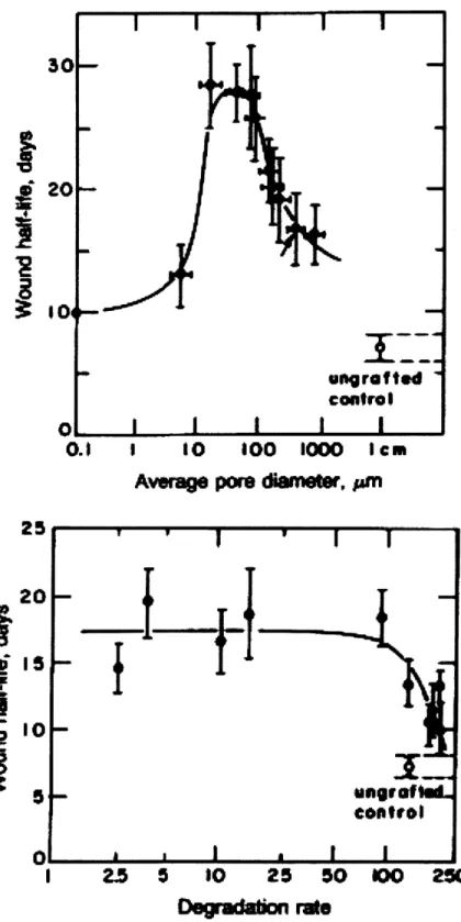 FIG.  1.7.  STRUCTURAL  DETERMINANTS  OF  SCAFFOLD  CONTRACTION-BLOCKING  ACTIVITY  IN  SKIN.