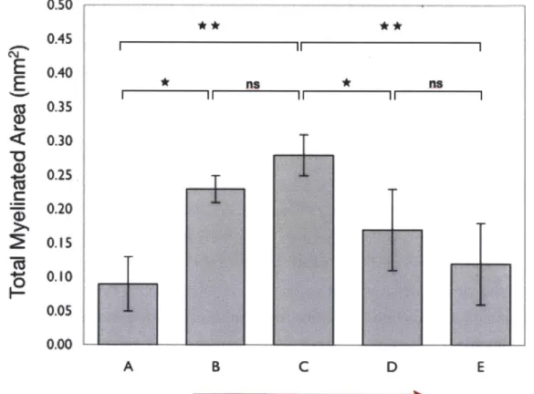 FIG.  2.7.  COLLAGEN  TUBES  OF  INTERMEDIATE  DEGRADATION  RATE  MAXIMIZE  TOTAL  MYELINATED  AREA.