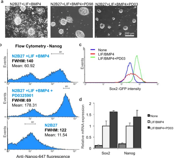 Figure 2-5 MEK inhibition increases homogeneity of mESC cultures. (a) Representative images of cells growing in  the indicated conditions for five days