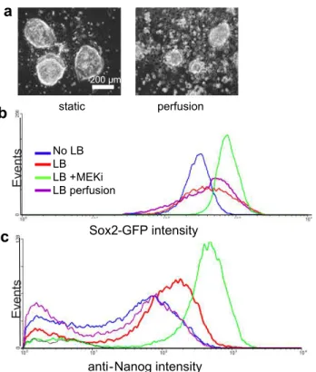 Figure 2-7 Growing mESCs under perfusion does not create a more homogeneous population