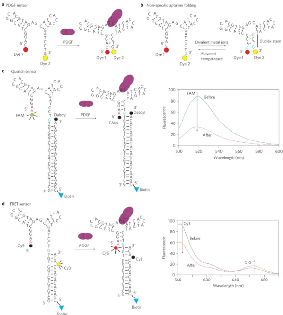 Figure 1. Mechanism of PDGF aptamer sensors in solution