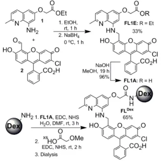 Figure 1. Preparation of FL1E, FL1A, and FL Dex . 