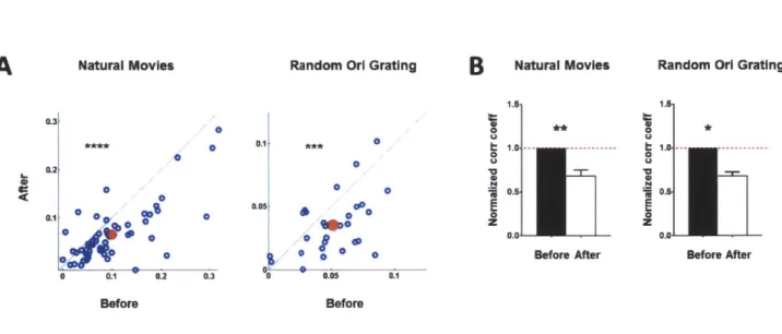 Fig.  Si.  In  vivo  optogenetic  stimulation  of ChAT-ChR2  expressing  axons  decreases  correlation  between  responses of layer  2/3,  VI  cortical  neurons  to  both  natural  movies  and random  orientation  gratings