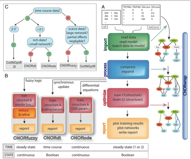 Figure 1 The CellNOptR framework. A. A CellNOptR analysis takes as input 2 text ﬁles: (1) a Prior Knowledge Network (PKN) as a SIF ﬁle [39], (2) a dataset in the MIDAS format ([34], see Figure 4)