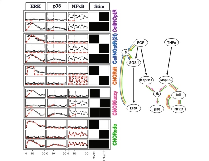 Figure 2 Simulation schemes in the CellNOptR and add-ons packages. Adapted from [40]. This network is a simpliﬁed version of a realistic toy example from [40], used to generate simulated data (triangles)