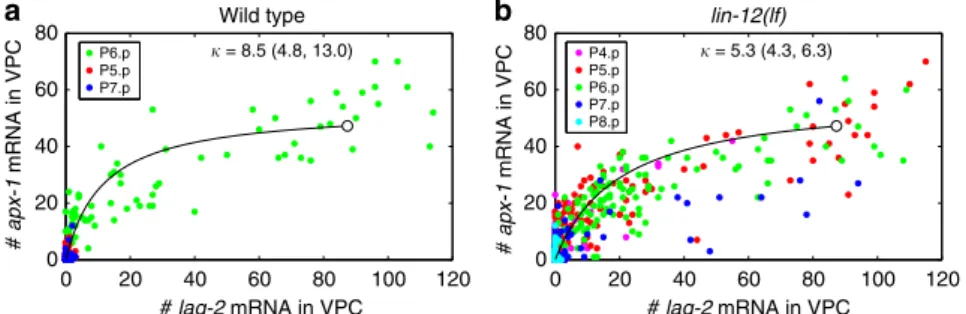 Figure 6 | Single-cell correlation in Notch ligand expression. (a,b) Single-cell correlation between apx-1 and lag-2 mRNA level in P(5–7).p in (a) wild-type animals (n¼ 73) and P(4–8).p in (b) lin-12(lf) animals (n ¼ 111) 