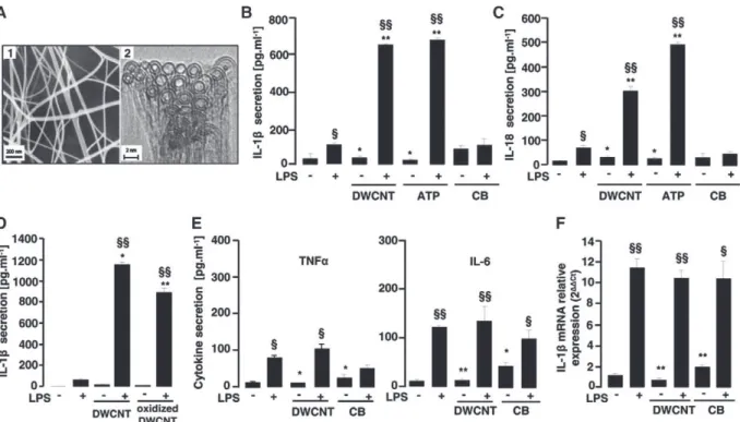 Figure 1. DWCNTs induce IL-1β and IL-18 but not TNFα and IL-6 secretion in LPS-primed human monocytes