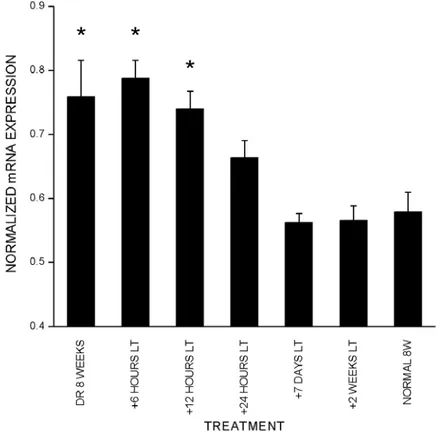 Figure 2-4. Light triggers down-regulation of cpg15 expression in DR rats. 