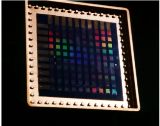 Figure  4:  SEM  top  view  picture  of  four  emitters.  The  extraction  gate  aperture  is  approximately  1.2  m  and  the  radius  of  curvature  of  the  microtip’s  apex  between  5  and 10nm.