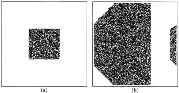 Figure  2-5: Typical  behavior  of a rule  whose lookup table  has been  chosen at  random.