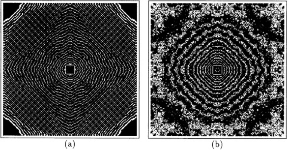 Figure  2-6:  Typical  behavior  of a simple,  symmetrical,  reversible  rule.  Starting  from a small, isolated,  solid block  (not  shown),  waves propagate  outward  and interfere  with each  other  nonlinearly  as they  wrap  around  the  space  severa