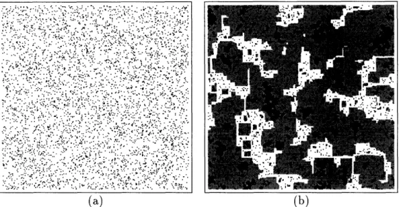 Figure  2-11:  A  reversible,  microcanonical  simulation  of an  Ising  model.  The  initial state  has  8% of the  spins  up  at  random  giving  the  system  a  near-critical  energy  (a).