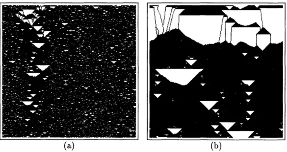 Figure  2-15:  A  stylized  model  of packing  sand.  Shortly  after  starting  from  a  near- near-critical  density  configuration,  most  of the  material  has  stabilized  except  for  a  single expanding  cave-in  (a)