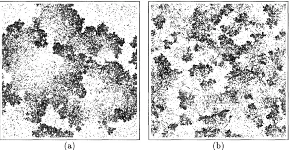 Figure  2-19:  Predator-prey  simulations.  The  prey  reproduces  at  random  into  empty areas,  while  the  predators  flourish  behind  the  waves of prey  (a)