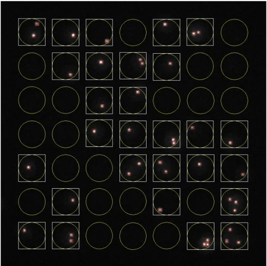 Figure  S-1.  Representative  image  of  automated  segmentation  and  counting  of  cells  using  Enumerator  (written  in  MATLAB)