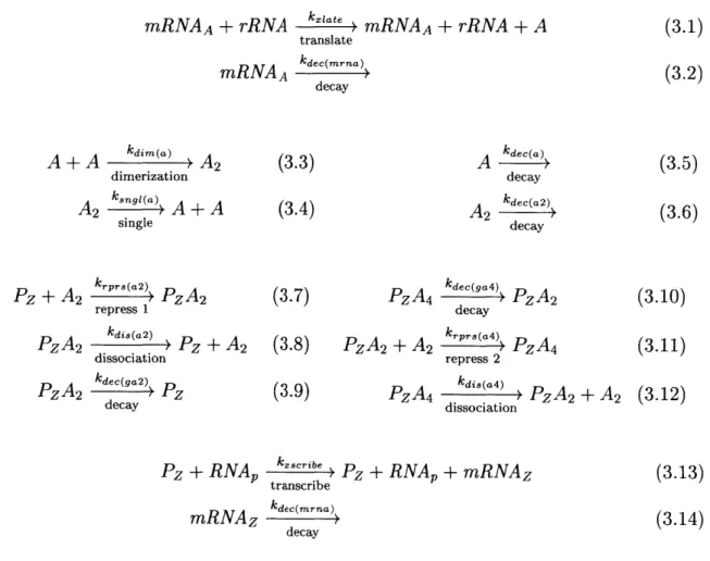 Table  3.1:  Biochemical  reactions  that  model  an  inverter.  mRNAA  is  the  input  and mRNAz  the output.