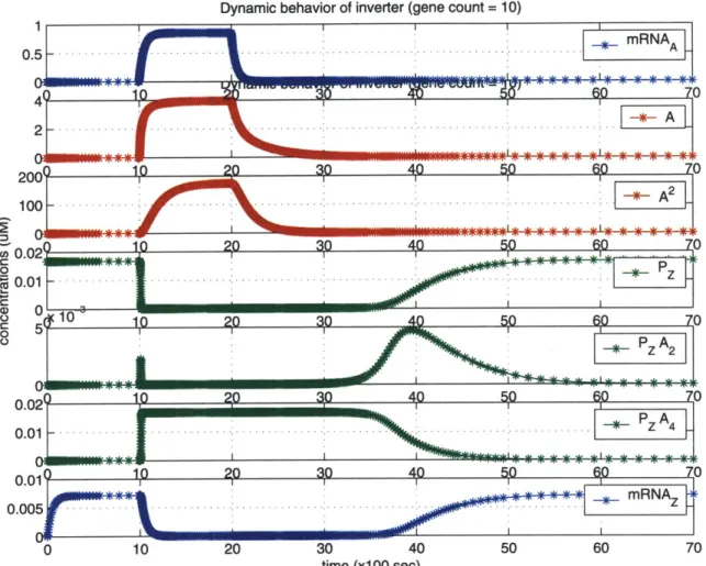 Figure  3-2:  The  dynamic  behavior  of the  inverter.  The  graphs  show  a  time-series  of the  molecular  concentrations  involved  in  inversion,  in response  to  a stimulus  of input mRNA.