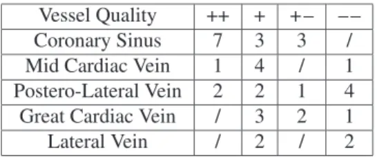 Table 2. Percentage of successful path extractions according to vessel visibility on MSCT data sets.