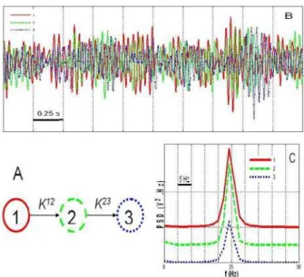 Fig. 2. Simulated signals. A. Considered scenario for connectivity  among neuronal populations