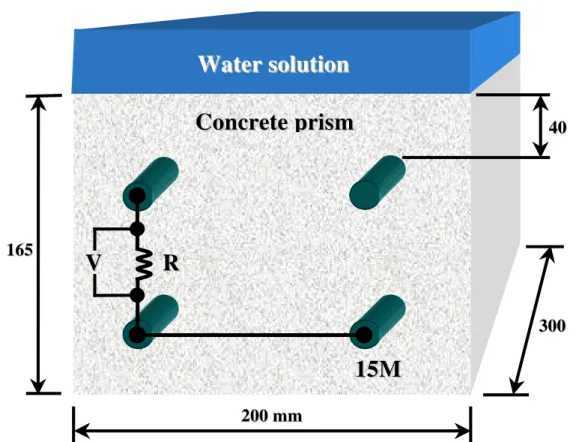 Figure 7: Typical reinforced concrete prism for accelerated corrosion lab study 5.2 Accelerated corrosion study