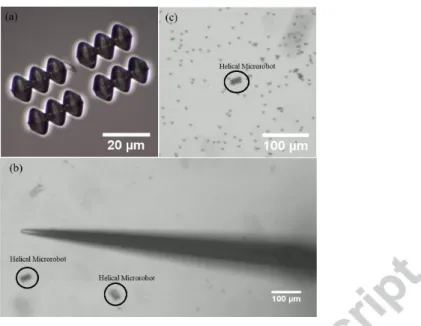 Figure 11: (a) Brightﬁeld image of a helical microrobot array at 30X. (b) Brightﬁeld image of the micropipette after placing a helical microrobot in DI water at 10X