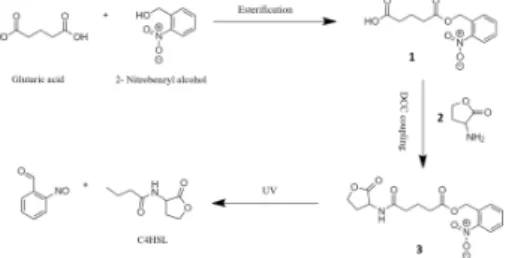 Figure 4: Glutaric acid and Benzyl alcohol are reacted to give their corresponding ester 1