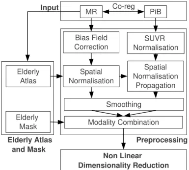 Figure 1: Overview of the algorithmic pipeline atlas was used to create the mask used in the NLDR step (whole brain (union of WM, GM and CSF) or GM only).