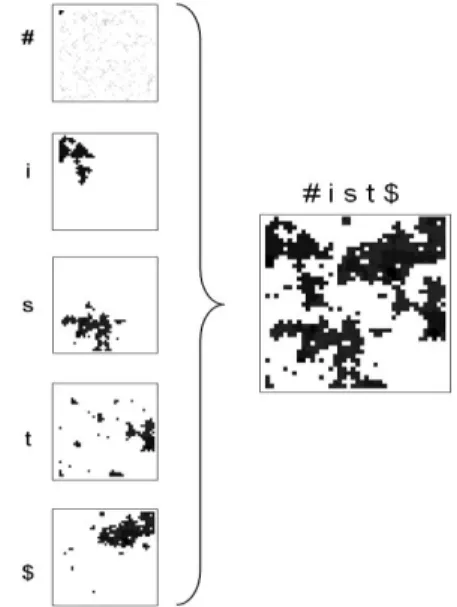 Figure 7 –  Topological distance matrix for kataba-hadama  Figure 7 illustrates the solution offered by a T2HSOM to  the problem