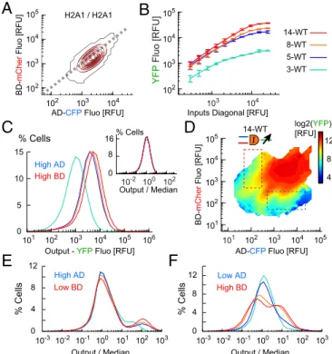 Fig. 3. Amplification of response function by output promoter binding re- re-peats. (A) Input space for the H2A1/H2A1 promoter pair