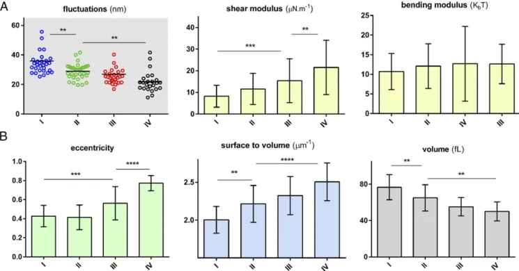 Fig. 3. Biophysical response of the RBCs of sickle patients as a function of cell density