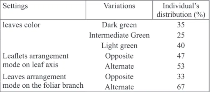 Fig. 1. The vegetation  colours encountered 