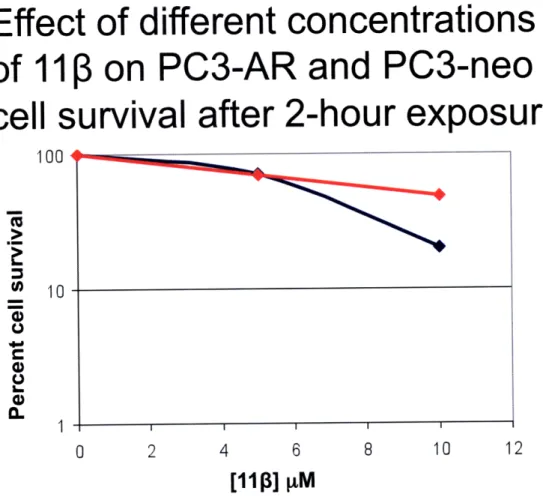 Figure 8.  PC3-AR  cells are  slightly more  sensitive to  10  pM  111 after 2 hours.  In order to better assay differential  toxicity in  AR-positive and AR-negative cells a clonogenic assay was setup  using an  isogenic cell pair, namely PC3-AR  (AR-posi