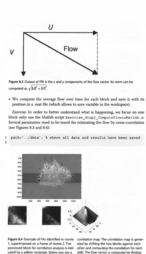 Figure 8.3 Output of PIV is the  x  and  y  components of  the flow vector. Its norm can be  computed as  llull 2  +  llvll 2 • 