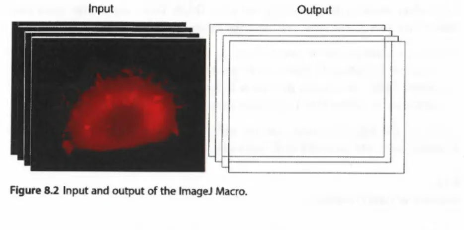 Figure 8.2 Input and output of  the lmageJ Macro. 