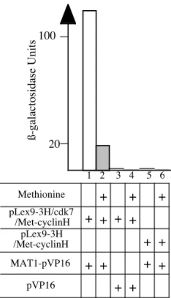 Figure  4:  Liquid  culture  assay.  L40  cells  were  cotransformed  with  the  plasmids  as  indicated  and analysed as described in subheading 3.6.2