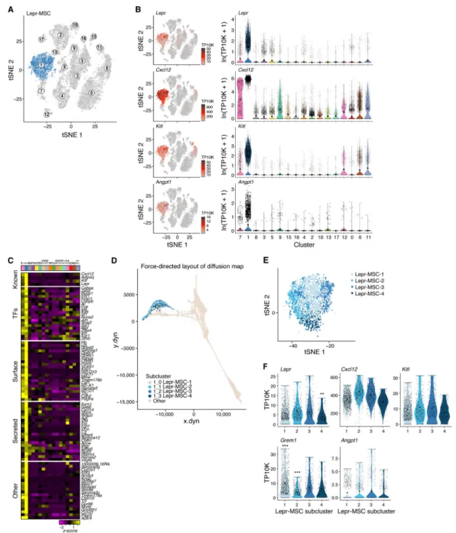 Figure 2. Four subsets of HSC regulator-producing Lepr-MSCs form a differentiation  continuum.