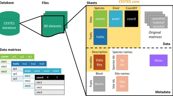 Fig. 1  Structure of the CESTES database. The database includes 80 Excel files for 80 datasets