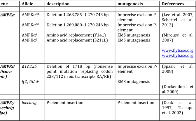 Table 3. AMPK mutations in Drosophila. 