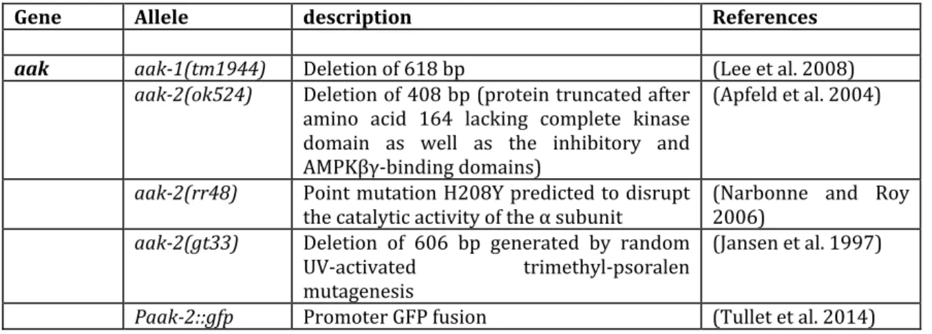 Table 5. AMPK mutant strains for the study of AMPK signaling pathway in C. elegans. 
