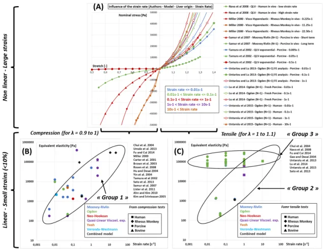 Figure 2: First Piola-Kirchhoff (nominal) stress as a function of stretch for the main studies dealing with the influence of the strain rate on the liver non-linear modeling in tensile / compression uniaxial testing (A)