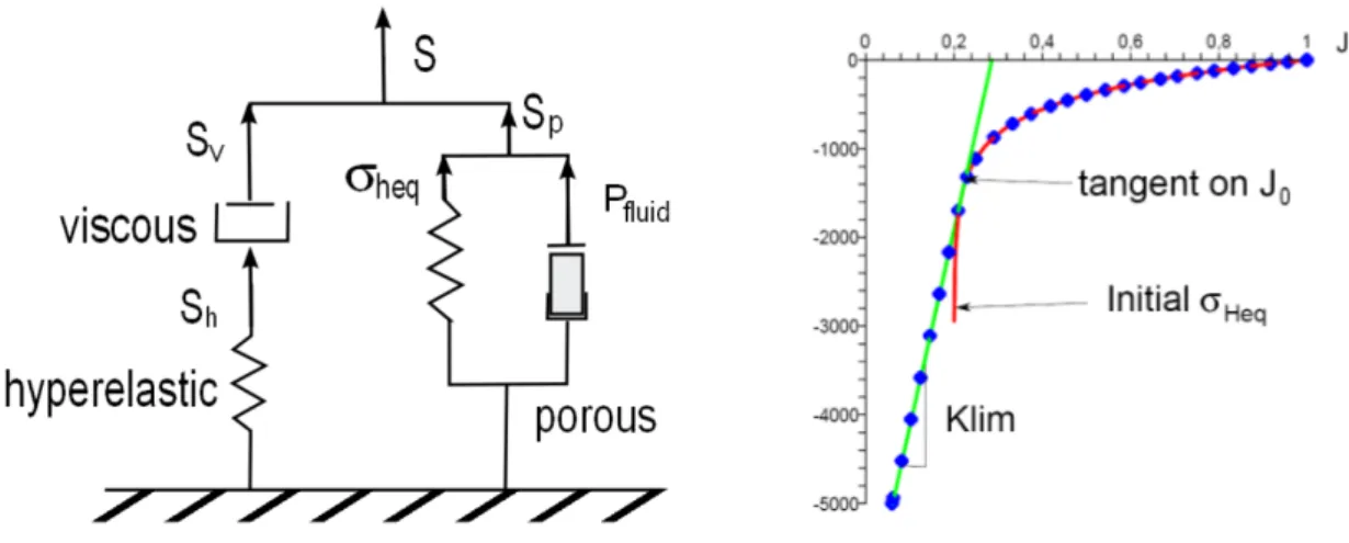 Figure 3: (Left) Representation of the constitutive model combining viscosity, hyperelasticity and porosity