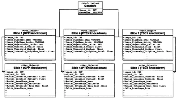 Figure  2-2:  Partial  schema  of the  Fly203  database.